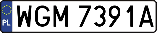 WGM7391A