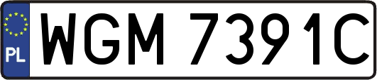 WGM7391C