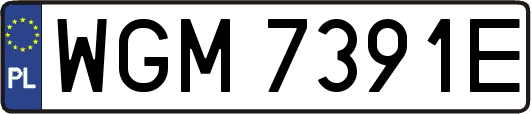 WGM7391E