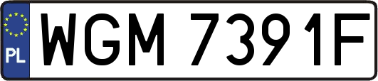 WGM7391F