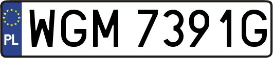 WGM7391G