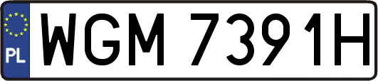 WGM7391H