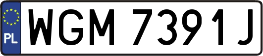 WGM7391J