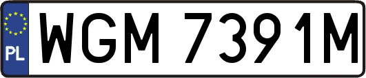 WGM7391M
