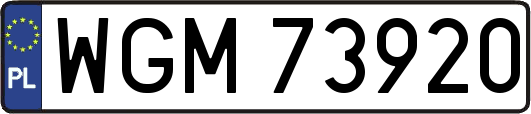 WGM73920