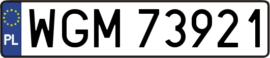 WGM73921