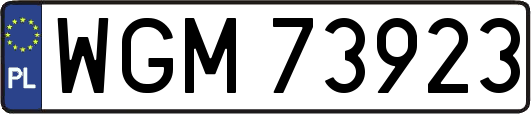 WGM73923