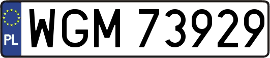 WGM73929