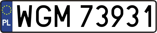 WGM73931