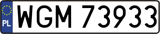 WGM73933