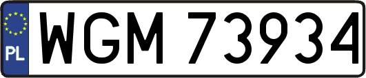 WGM73934