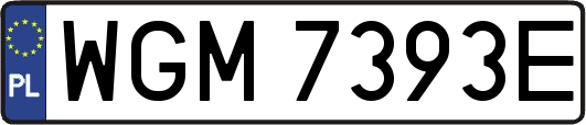 WGM7393E