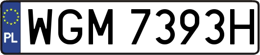 WGM7393H