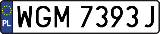 WGM7393J