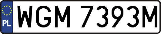 WGM7393M