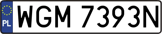 WGM7393N