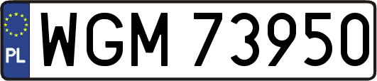 WGM73950