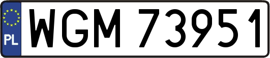 WGM73951