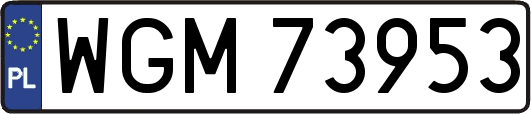 WGM73953