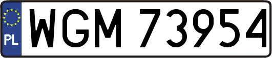 WGM73954