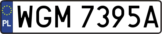 WGM7395A