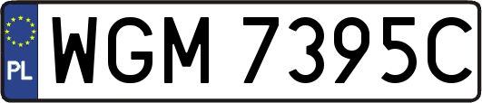WGM7395C
