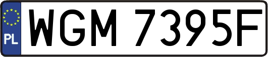 WGM7395F