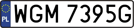 WGM7395G
