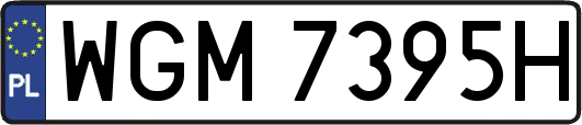 WGM7395H