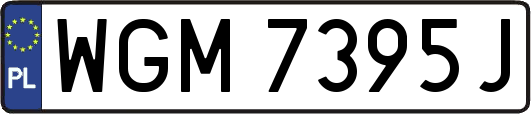 WGM7395J