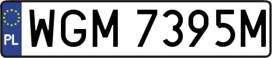 WGM7395M