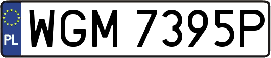 WGM7395P