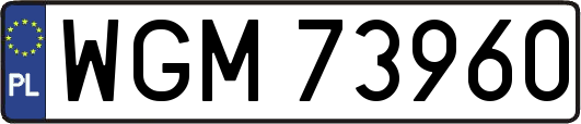 WGM73960