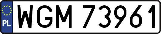 WGM73961