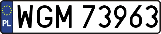 WGM73963