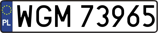 WGM73965