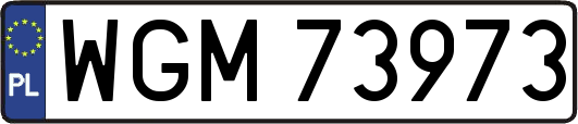 WGM73973
