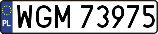 WGM73975