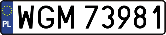 WGM73981