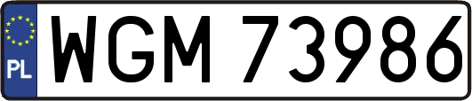 WGM73986