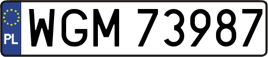 WGM73987