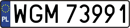 WGM73991