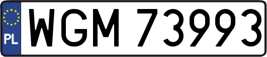 WGM73993