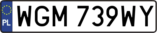 WGM739WY
