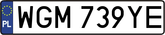 WGM739YE