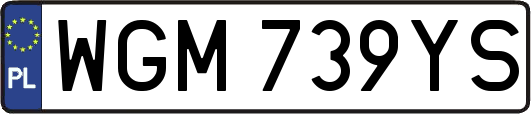 WGM739YS