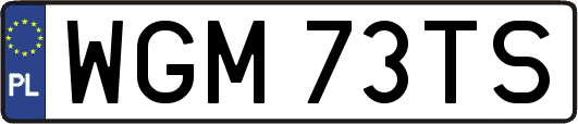 WGM73TS