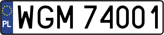 WGM74001