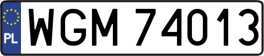 WGM74013