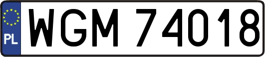 WGM74018